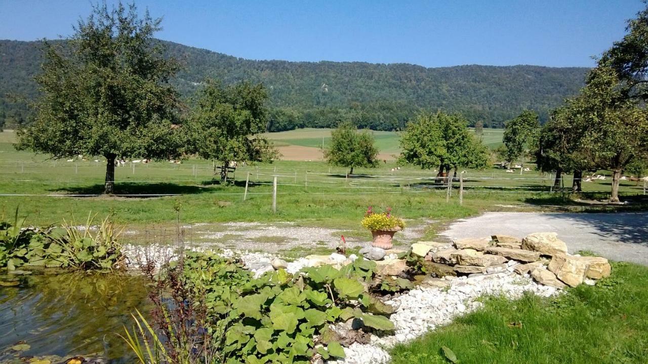 Apartement-Gite Rural A 3 Km De Delemont Courcelon Екстер'єр фото